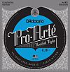D'ADDARIO EJ31   